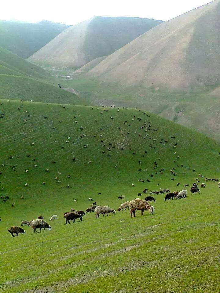 DAY TRIP TO PAHALGAM